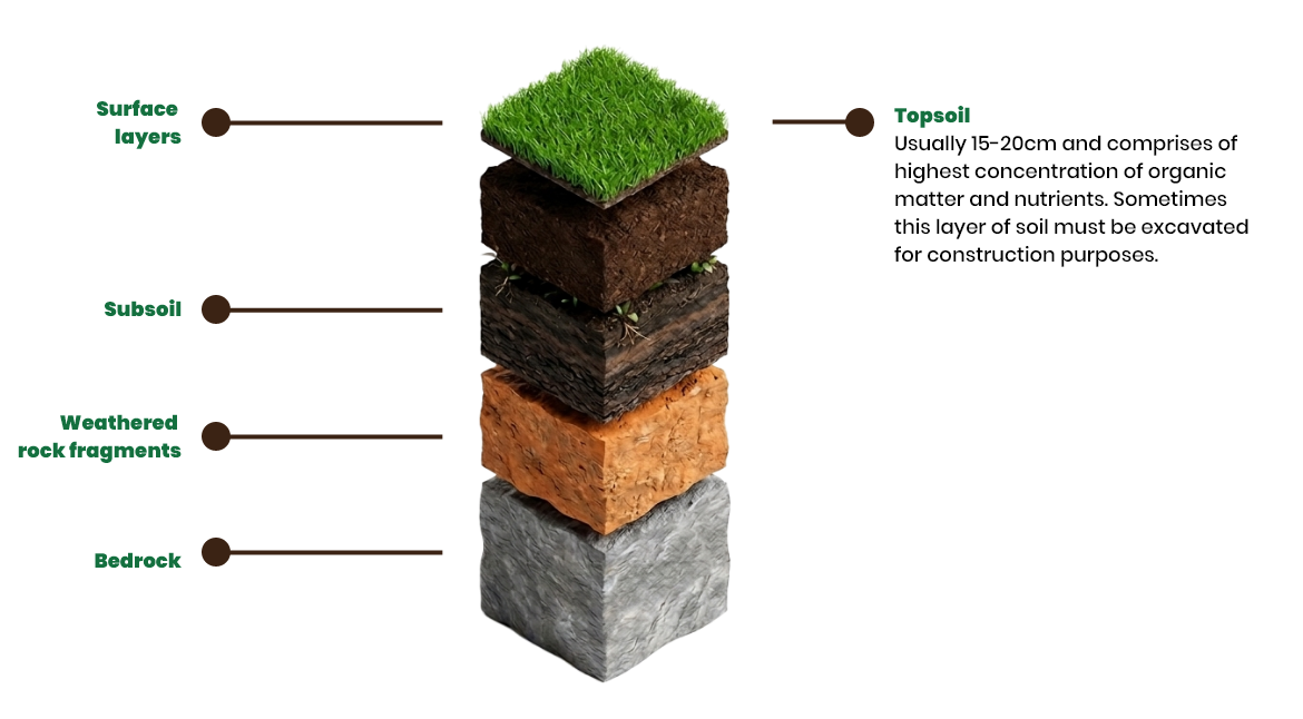 Soil layers: surface layers, topsoil, subsoil, weathered rock fragments and bedrock